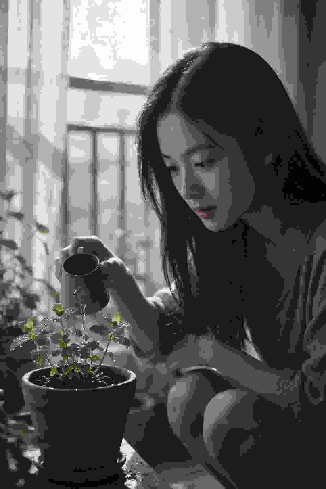 永远的承诺